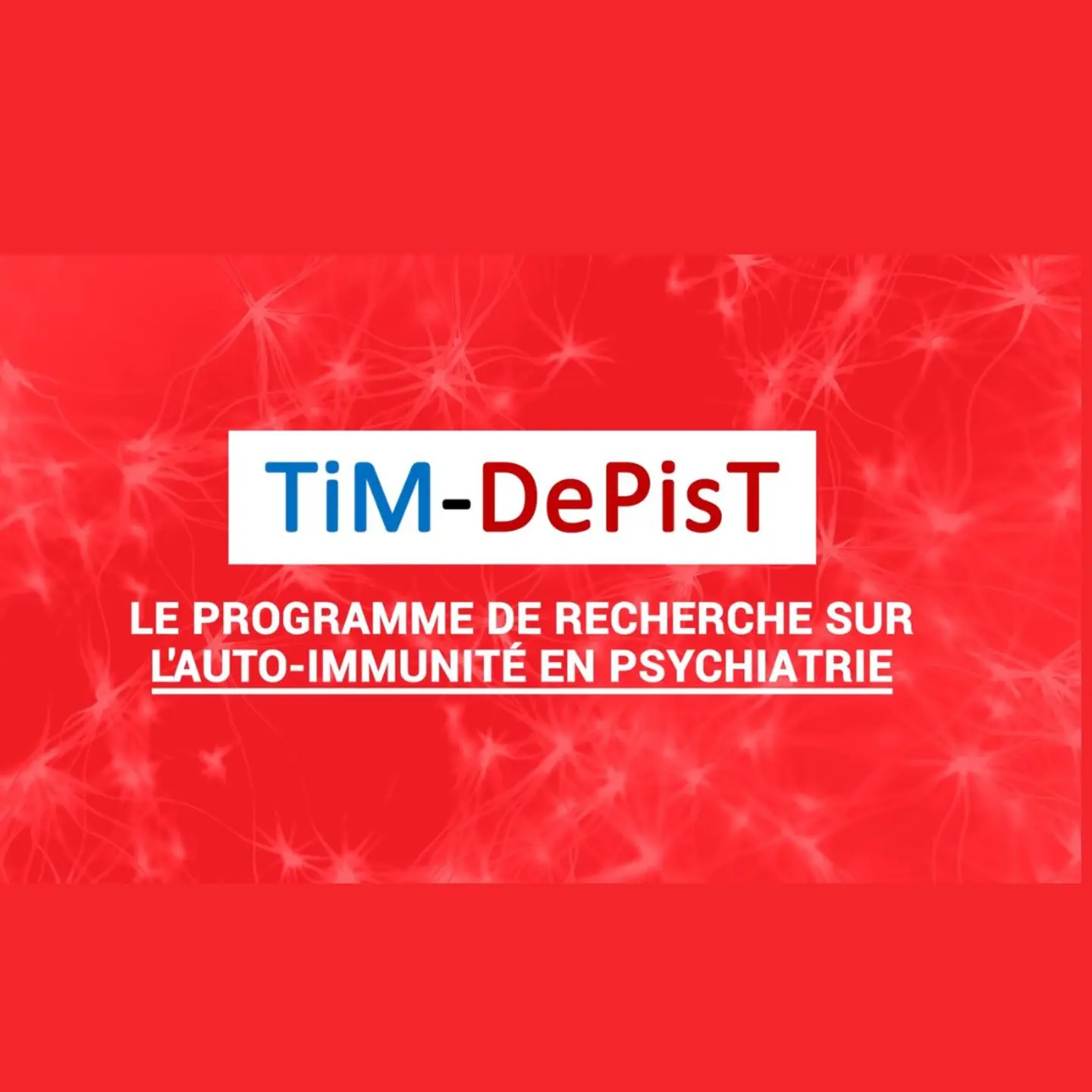 TiM-DePist : le programme de recherche sur l’auto-immunité en psychiatrie 