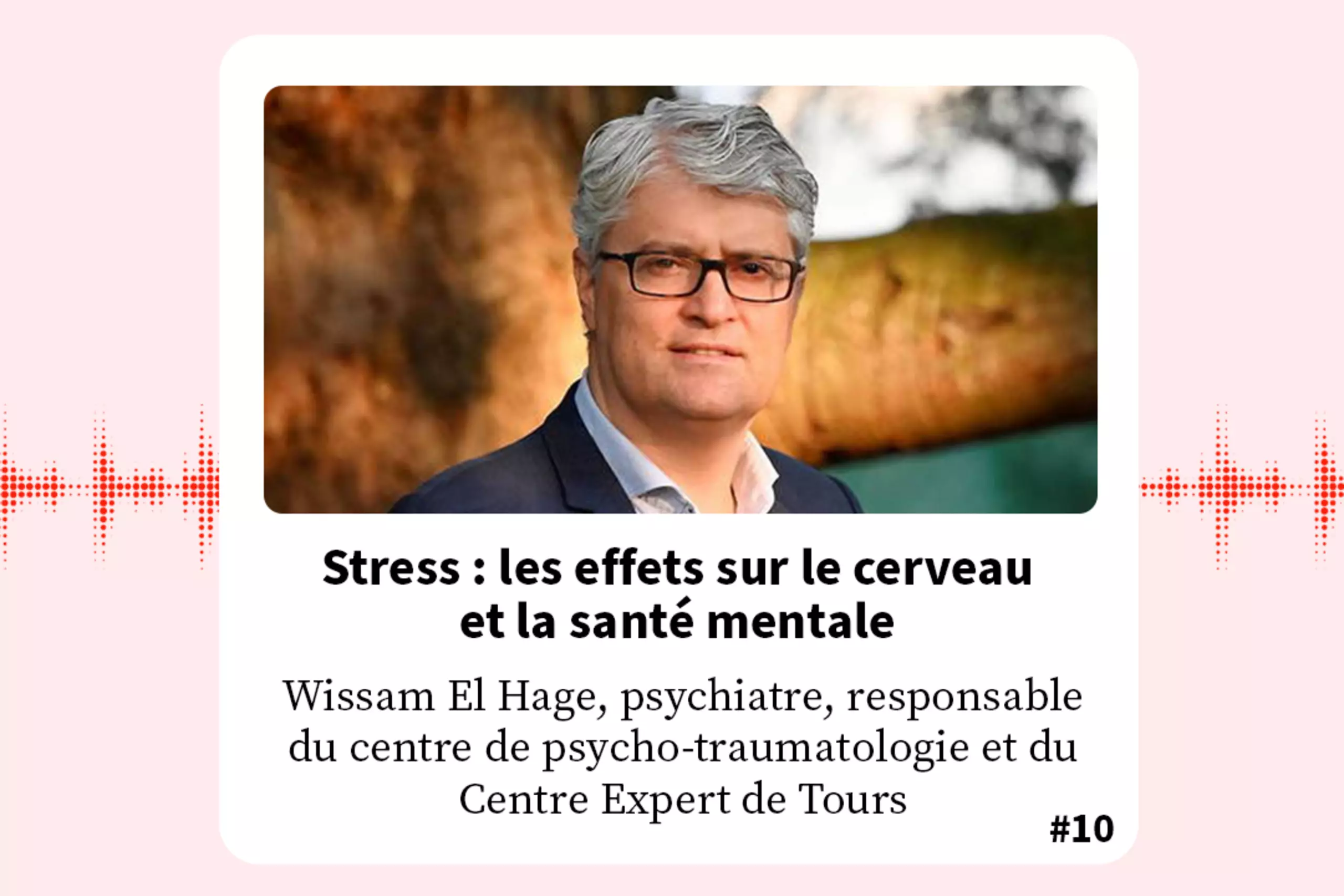 FondaMental Talk - Podcast Professeur Wissam El Hage : Stress : les effets sur le cerveau et la santé mentale.