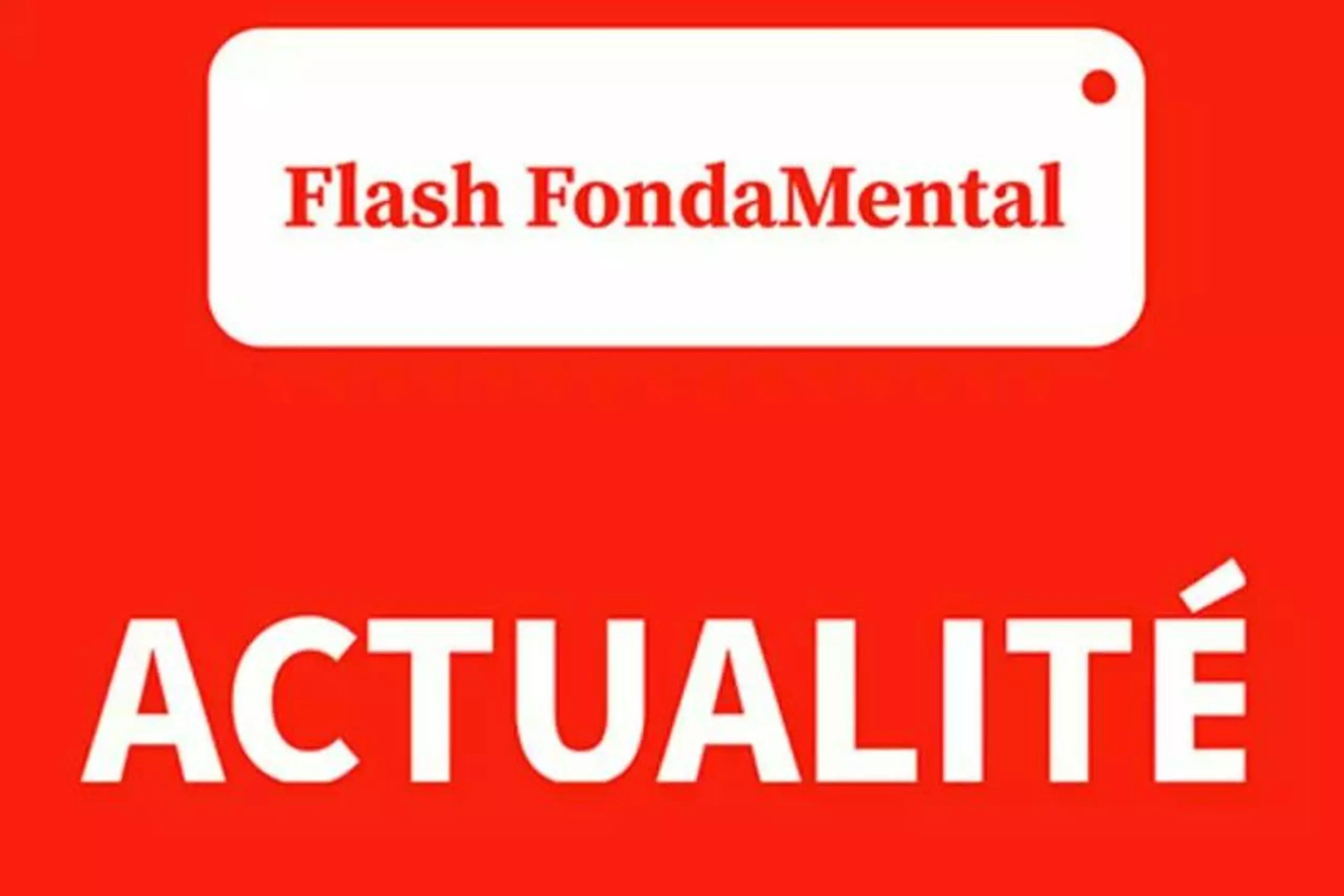 Flash FondaMental Actualité