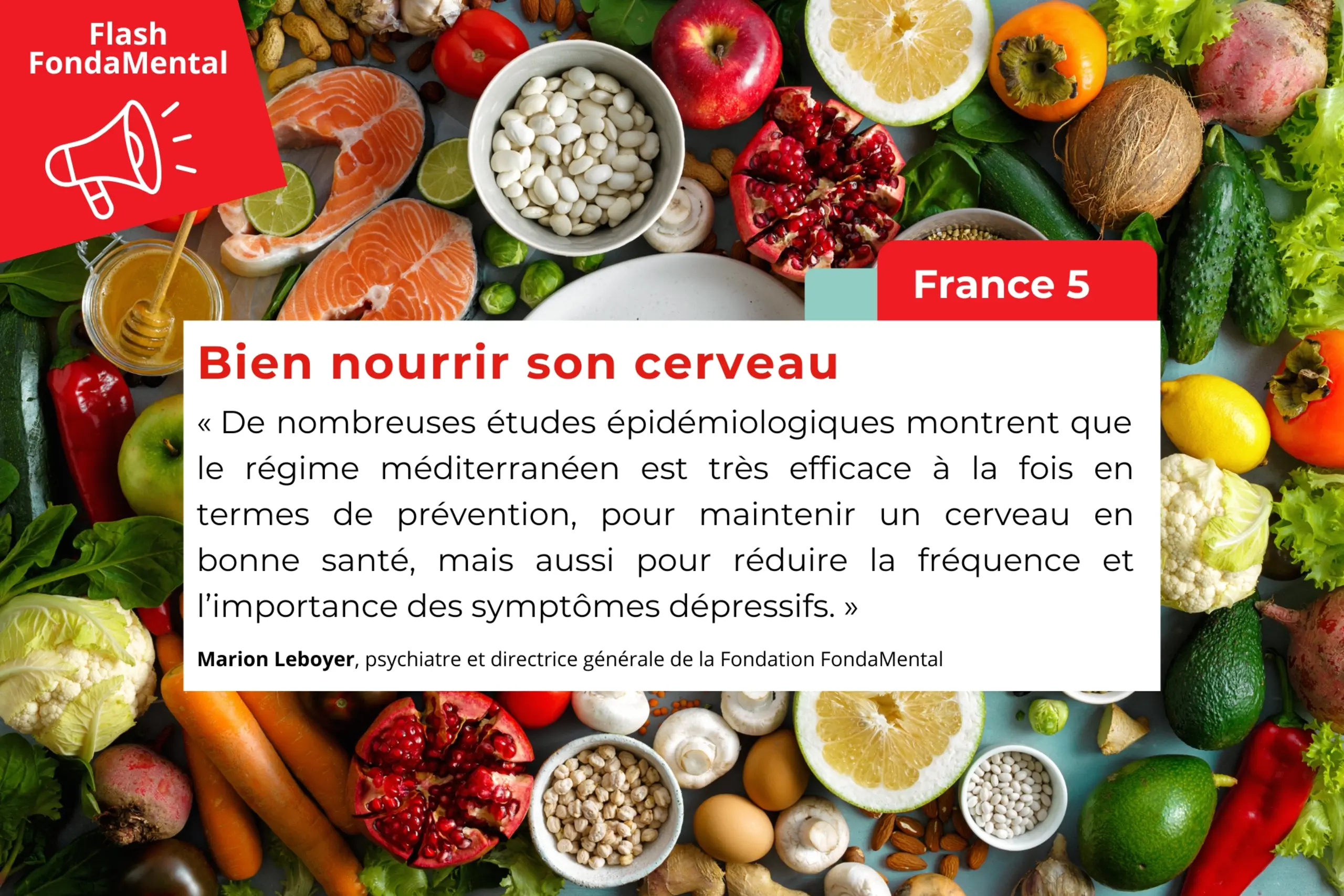 France 5 : Bien nourrir son cerveau