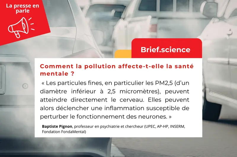 Brief.science | Comment la pollution affecte-t-elle la santé mentale ?
