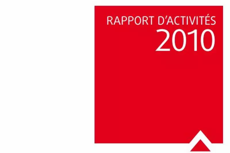 Rapport d'Activité FondaMental 2010